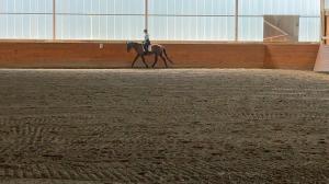Kimberly Godwin Clark, Scout, Retired Racehorse Project, Thoroughbred Makeover